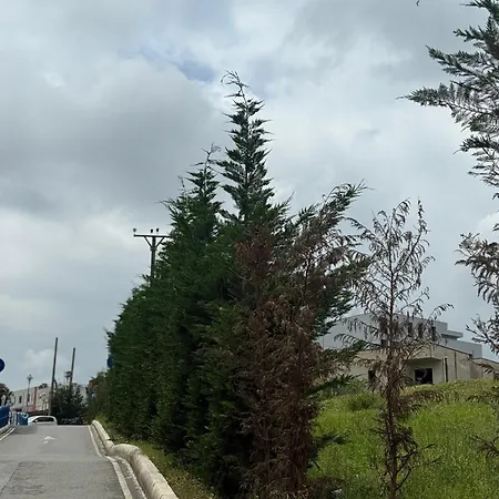 13 Daily Tirana